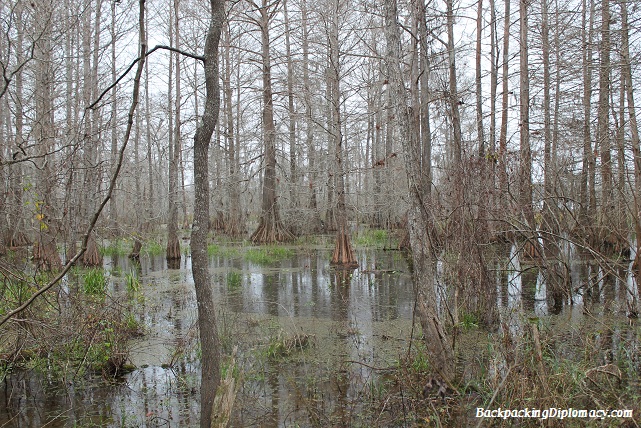 A walk around Lake Martin - Backpacking Diplomacy